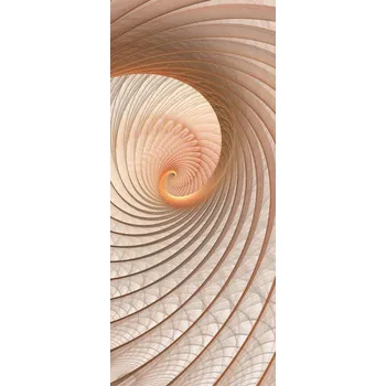 Fototapeta Fototapeta na dveře Béžový hlemýžď Výprodej - vlies 91 x 211 cm