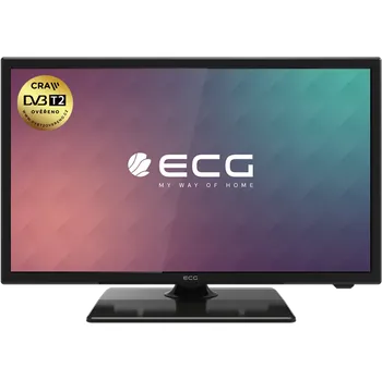 Televizor ECG 22 F01T2S2