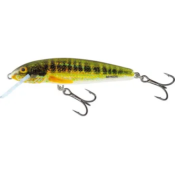 Umělá nástraha Salmo Minnow Floating Holo Real Minnow 6 cm