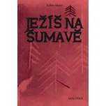 Ježíš na Šumavě - Robert Michel