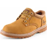 CXS Road Belmont 2122-001-612