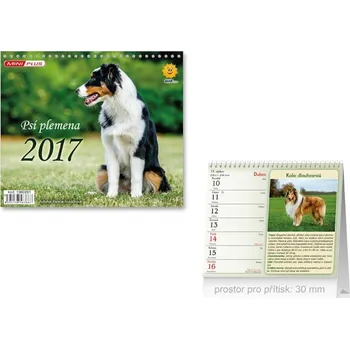 Kalendář MFP kalendář 2017 M stolní mini Psí plemena