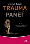 Trauma a paměť - Peter A. Lavine