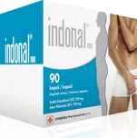 Synergia Indonal Man