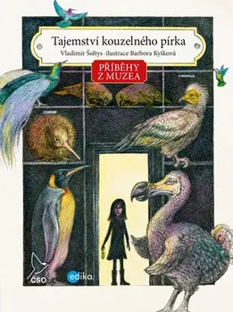 Příběhy z muzea: Tajemství kouzelného pírka - Vladimír Šoltys