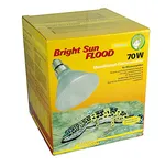 Lucky Reptile Bright Sun Flood Desert…