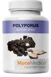 MycoMedica Polyporus 90 cps.