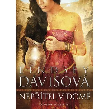 Nepřítel v domě - Lindsey Davisová