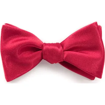 Motýlek Vázací motýlek s kapesníčkem Avantgard - červený lesklý