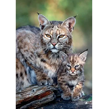 Puzzle Trefl 1000 Nature