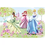 Trefl Princezny 60 dílků