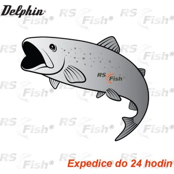 Delphin Pstruh Silver