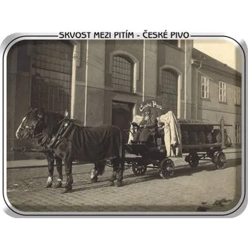 Plechová cedule Plechová pivovarská cedule Valaši 2, 420 x 297 mm