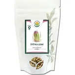 Salvia Paradise Štětka lesní kořen