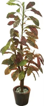 Umělá květina Europalms Croton mit Cocosstamm 180 cm