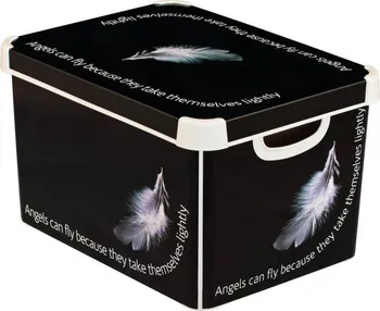 Úložný box Curver úložný box L Angel