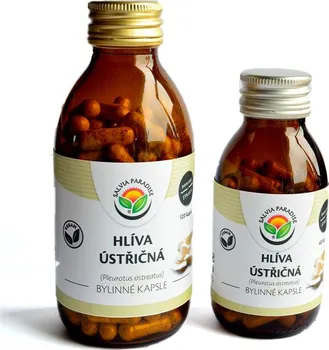 Přírodní produkt Salvia Paradise Hlíva ústřičná kapsle