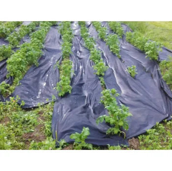 Geotextilie Netkaná zahradní textilie z polypropylenu 1,6x50 m - (Netkaná zahradní textilie z polypropylenu)