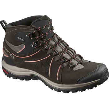 Dámská treková obuv Salomon Ellipse 2 Mid LTR GTX W Vintage Ka/Wren