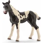 Schleich 13803 Pinto hříbě