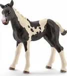 Schleich 13803 Pinto hříbě