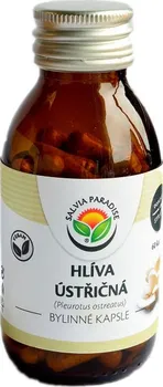 Přírodní produkt Salvia Paradise Hlíva ústřičná kapsle