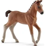 Schleich 13818 Hanoverské hříbě
