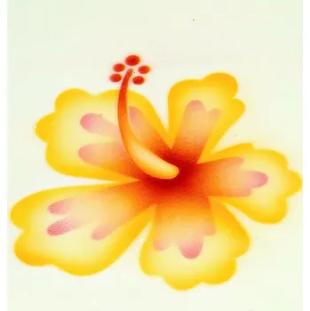 Stencil dekorační (ibišek 2 květy) 3 kroková