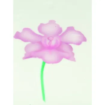 Stencil dekorační (orchidej) 4 kroková