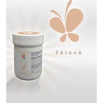 Potravinářské barvivo Gelová barva, tělová 30 g/kelímek