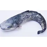 Sumec velký (Catfish) - 115 cm polštářek - GABY