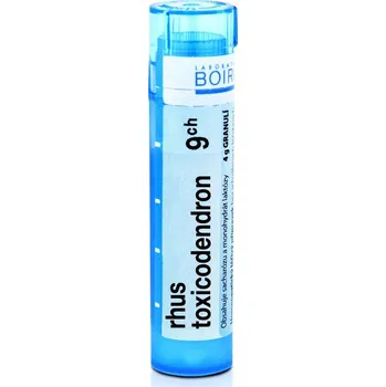 Boiron Rhus Toxicodendron 9CH 4 g Homeopatikum Boiron Rhus Toxicodendron 9CH 4 g