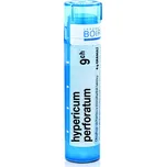 Boiron Hypericum Perforatum 9CH 4 g