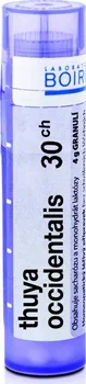 Homeopatikum Boiron Thuya Occidentalis 30CH 4 g