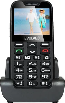 Mobilní telefon Evolveo EasyPhone XD Single SIM