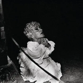 Zahraniční hudba Deerhunter - Halcyon Digest - 180 gr. Vinyl (LP, CAD3X38-1)