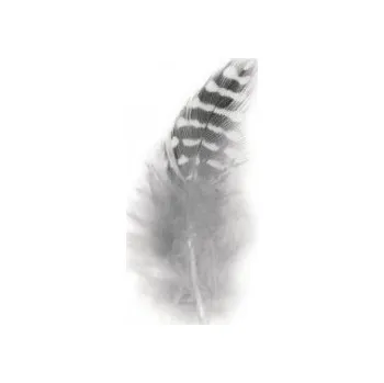 Dekorační peří černobílé 6cm 40ks