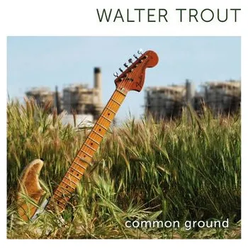 Zahraniční hudba Walter Trout - Common Ground (2010) (CD, PRD73022)