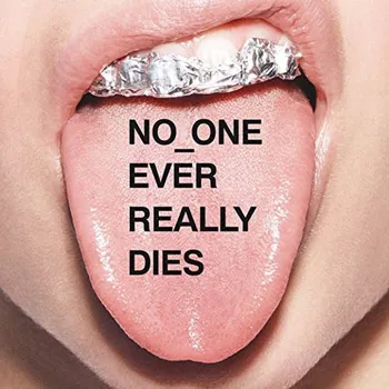 Zahraniční hudba N.E.R.D - No One Ever Really Dies (2017) (CD, 19075801902)