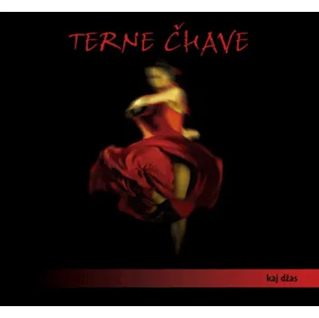 Zahraniční hudba Terne Čhave - Kaj džas / Kam jdeme (CD, MAM247-2)
