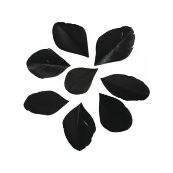 Peří střižené černé 5-6cm 36ks