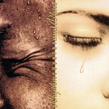 Zahraniční hudba Various Artists - Rhythm Country And Blues (1994) (CD, MCD10965)