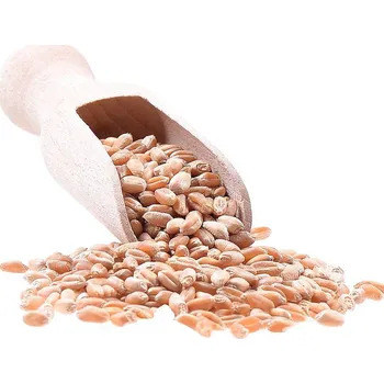 ASO - Zdravý život Pšenice ozimá Bio Hmotnost: 1kg