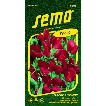 Semeno SEMO Hrachor vonný Mammoth Scarlet 2 g