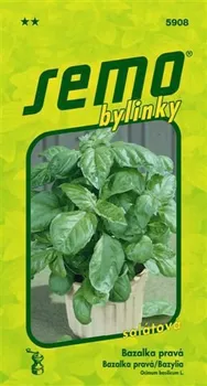 Semeno SEMO Lettuce Leaf Bazalka pravá 1 g