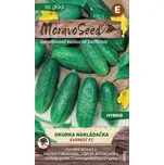Moravoseed Okurka nakládačka Everest F1…