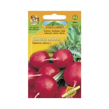 Semeno Nohel Garden Lidka Ředkvička celoroční