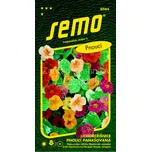 SEMO Lichořeřišnice větší Out of Africa…