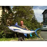 Gaby Polštář MERLIN OBR 200cm