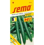 SEMO Okurka salátová do skleníku Vista…